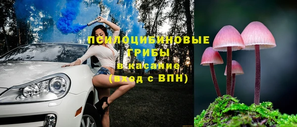 герыч Ельня