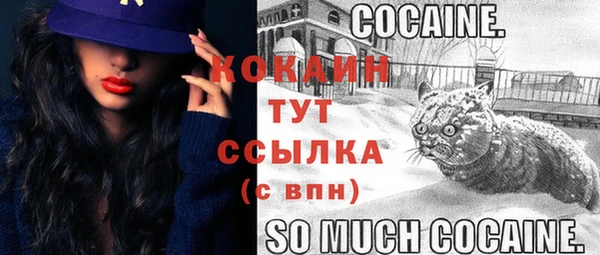 МДПВ Заволжье