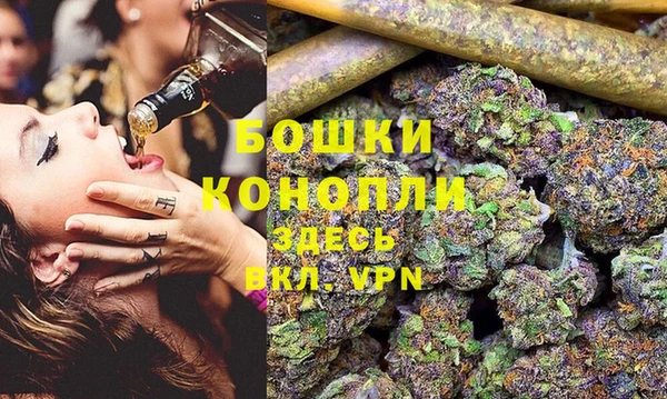 МДПВ Елабуга