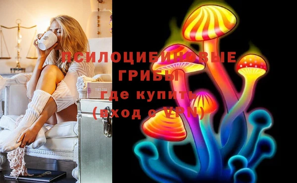 герыч Ельня