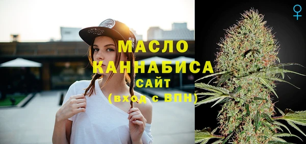 МДПВ Елабуга